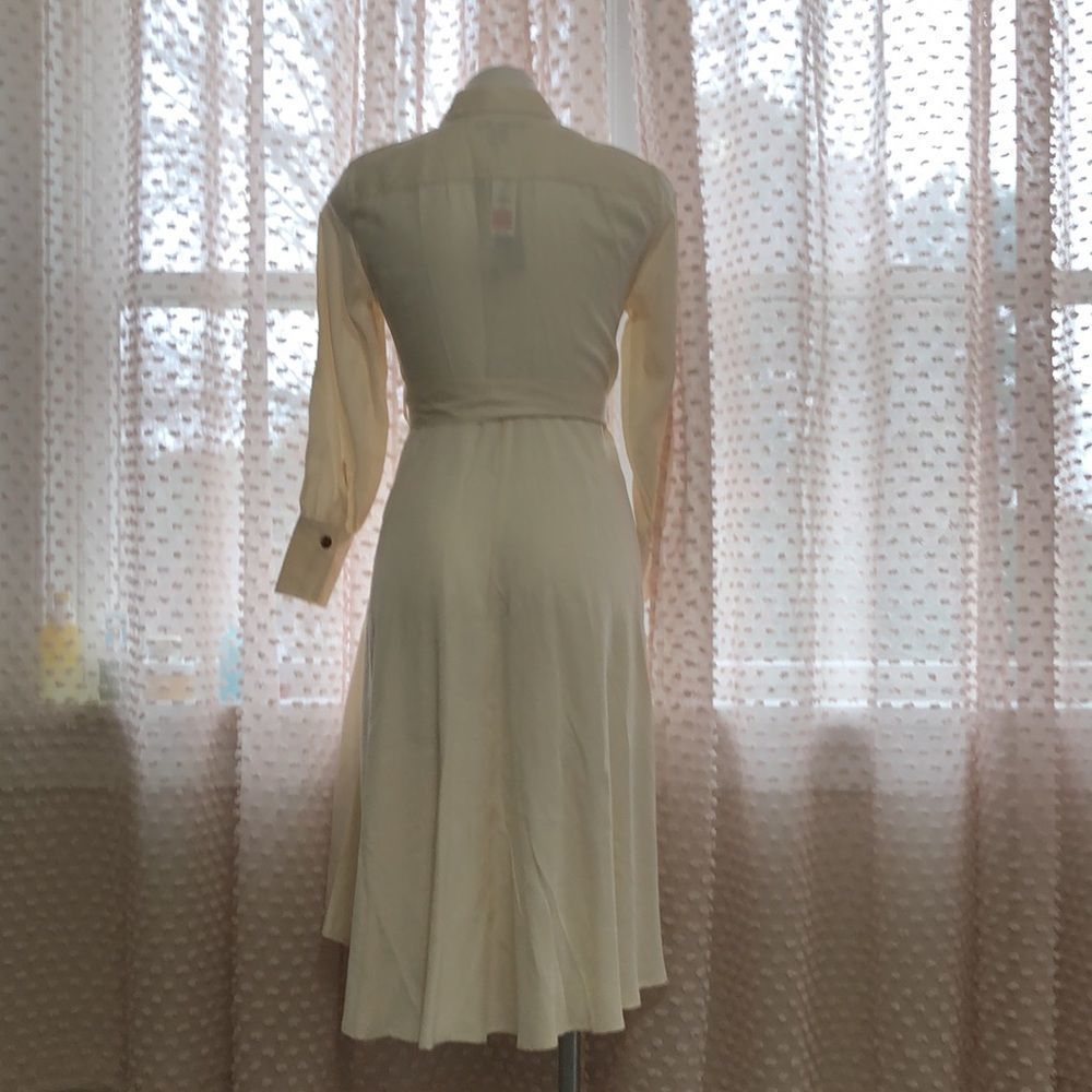 Banana Republic Belted Tencel Shirtdress - Picture 8 of 15